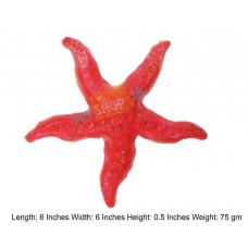Star Fish Small Aquarium Decor